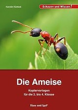 Die Ameise - Kopiervorlagen