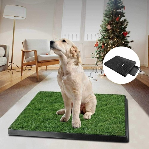 Hundeklo hunde toilette echtem - hundeklo,