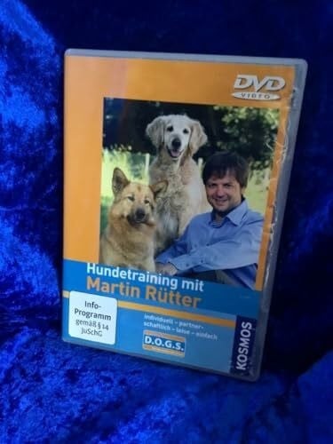 Hundetraining mit martin - hundetraining,