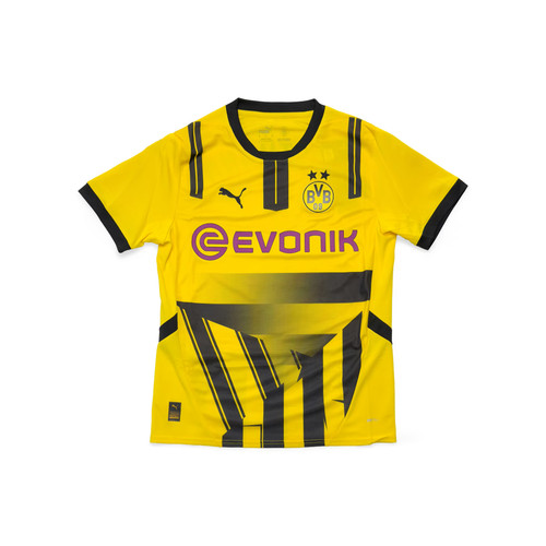 Borussia dortmund 2024 cup - dortmund, 2024/25