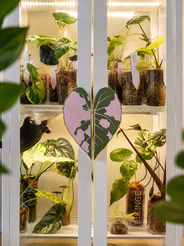 Ikea milsbo greenhouse - ikea,
