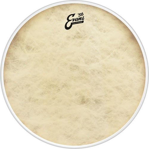 Evans calftone bass drum - evans, 20"