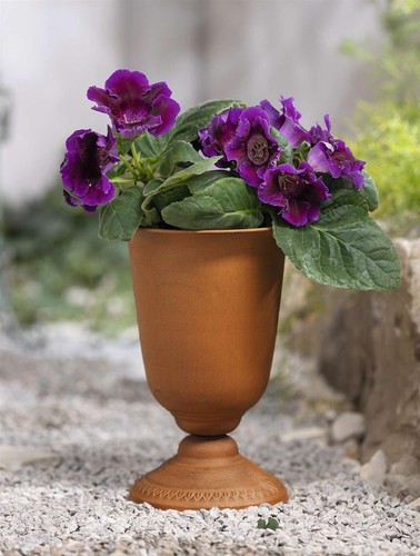 Blumen pflanz topf - topf, "pokal"