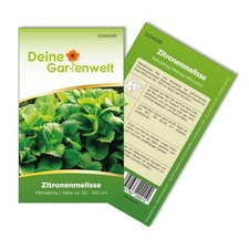 Zitronenmelisse  Samen - Melissa officinalis - Zitronenmelissesamen