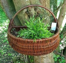 !!NEU!! Weidenkorb Obstkorb