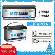 Lithium Batterie 12V 300Ah