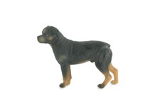 Rottweiler Dog, Rubber Hand