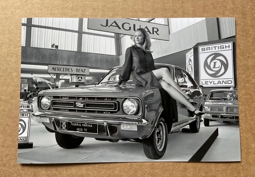 Morris marina 1800 - marina, tc