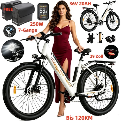 Zoll elektrofahrrad 250w - 29,