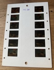 Stereomat-Bildkarte MS 29 Die