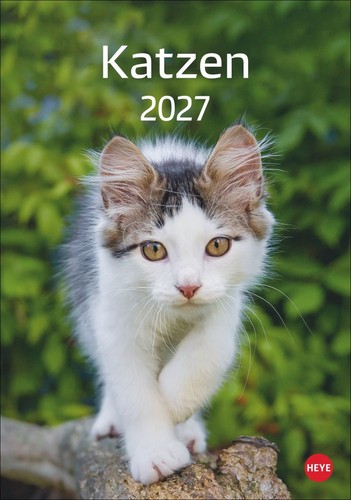Katzen kalender 2027 die - katzen,