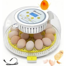 Inkubator Brutkasten