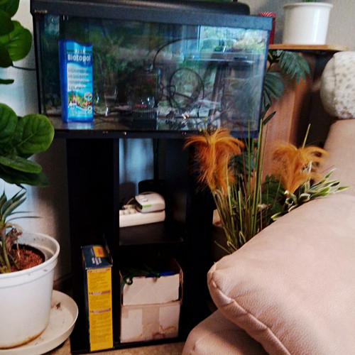 Komplettaquarium aus glas - aus,