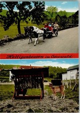11077503 - 6967 Hettigenbeuern Ponykutschfahrt Reh an der Raufe 2-Bildaufnahme