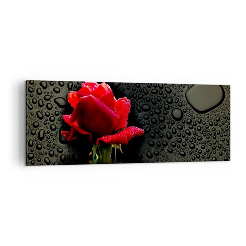 Wandbilder 140x50cm