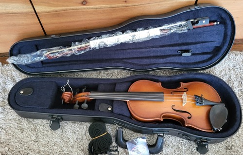 Gliga genial violin toplita - 1,