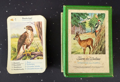 Quartett tiere des - tiere,