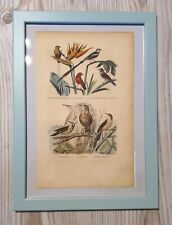 1852 Lithographie Kunstdruck