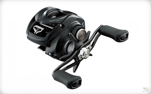 Daiwa multirolle casting - daiwa, 23