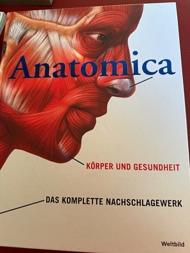Anatomica körper und - anatomica,
