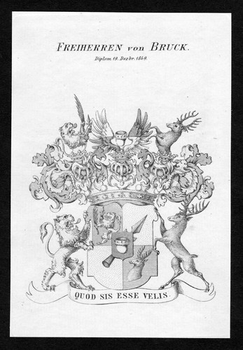 1849 bruck wappen adel - bruck,