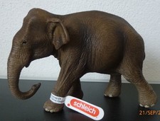 Asiatischer Elefant Neu Schleich Tiere Edeka WWF Aktion 2025 WILD LIVE mit Fahne