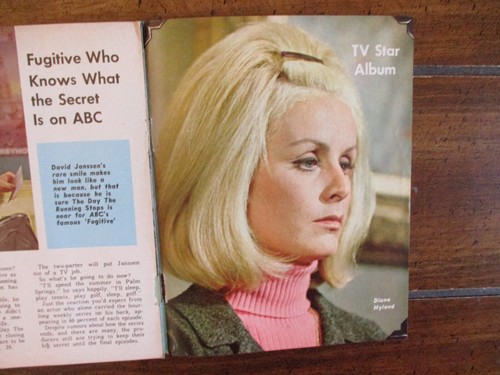 June 1967 detroit tv - 25-1967,