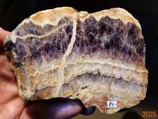 TOP Verheilter Zonierter