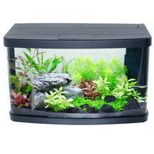 Nano Aquarium Set mit Filter