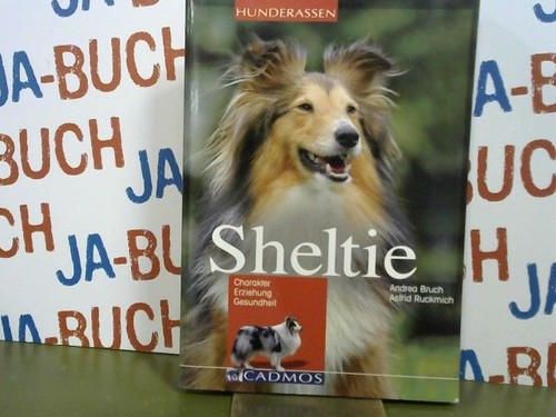 Sheltie charakter - sheltie, :