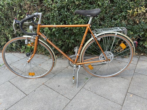 Herren sportrad raleigh - herren-sportrad,