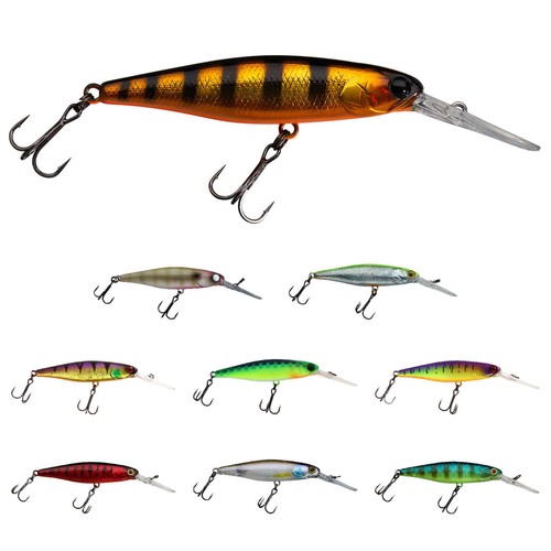 Illex squirrel sp - squirrel, 67