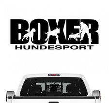 Boxer Hundesport Auto
