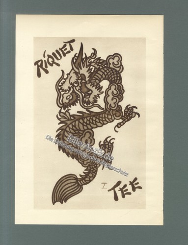 Riquet tee drache - drache, mea