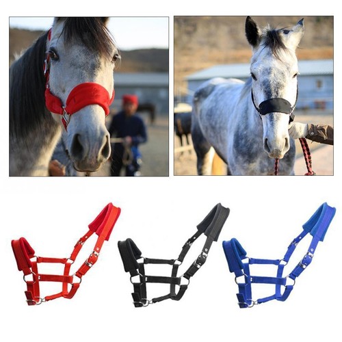 Weich gepolstertes pony - gepolstertes, horse
