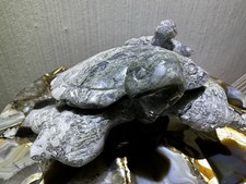 XXL Moosachat Schildkröte