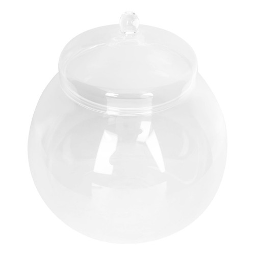 Terrariumflasch gläser mit - terrariumflasch,