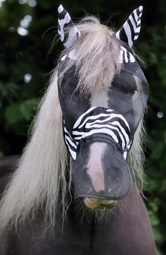 Fliegenmaske zebra minishetty - fliegenmaske,