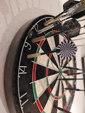 11  Dartpfeile Stahlspitze