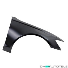 Kotflügel vorne rechts