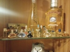 Mini Parfüm Flakons,120