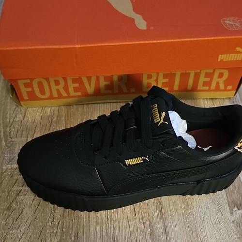 Puma carina animal - animal, flair