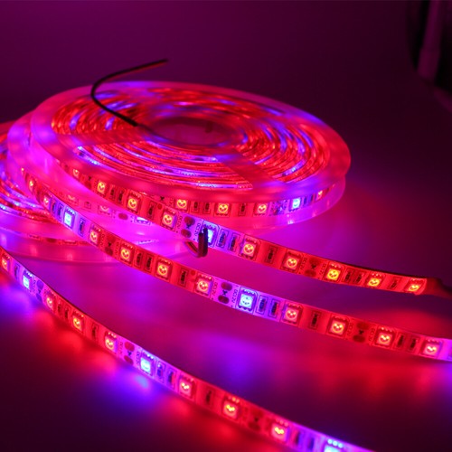 Led wachstumslampe - led,