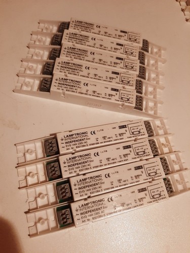 Evg elektronisches - evg,