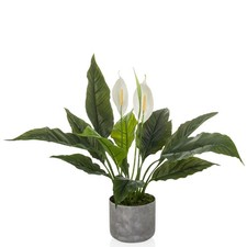 Kunstpflanze Spathiphyllum Einblatt 60cm grün/weiß Kunstblume mit Topf Blume