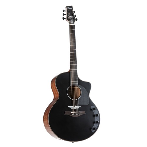 Fame signature westerngitarre - fame,