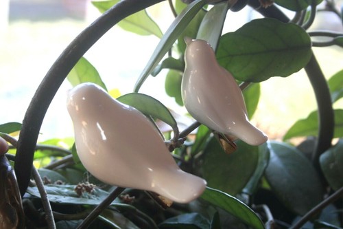 Vogel mit clip porzellanvogel - vogel,