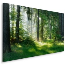 Fabelhafte Canvas LEINWAND