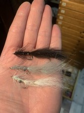 3 SHRIMP SHRIMPS  MEERFORELLE