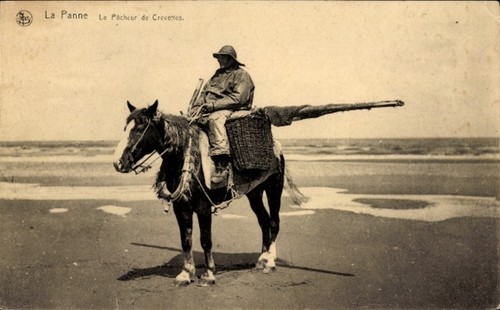 Panne westflandern le - ak, la